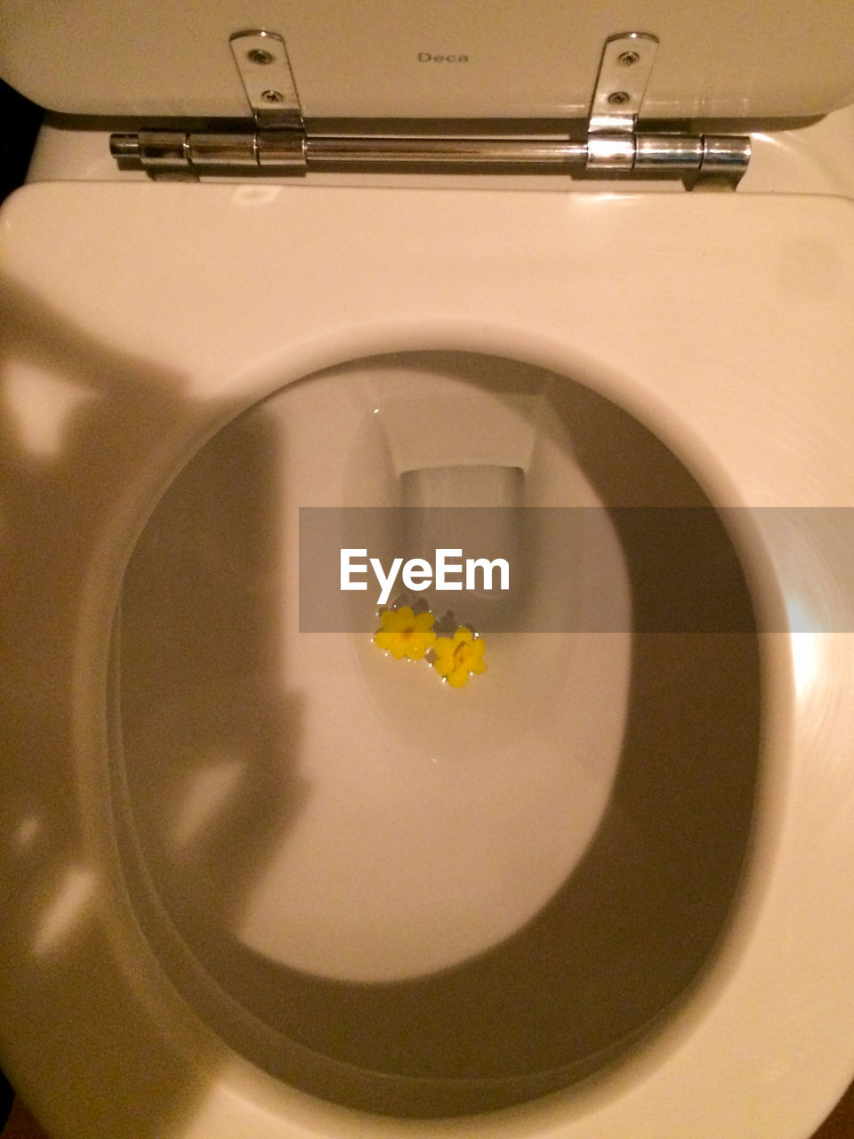 Toilet with yellow flower in the water