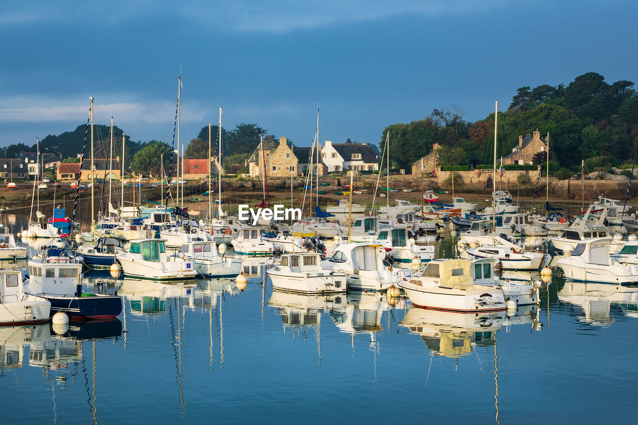 Boats moored in harbor