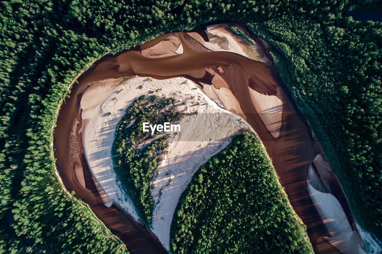 Aerial view of river and forest