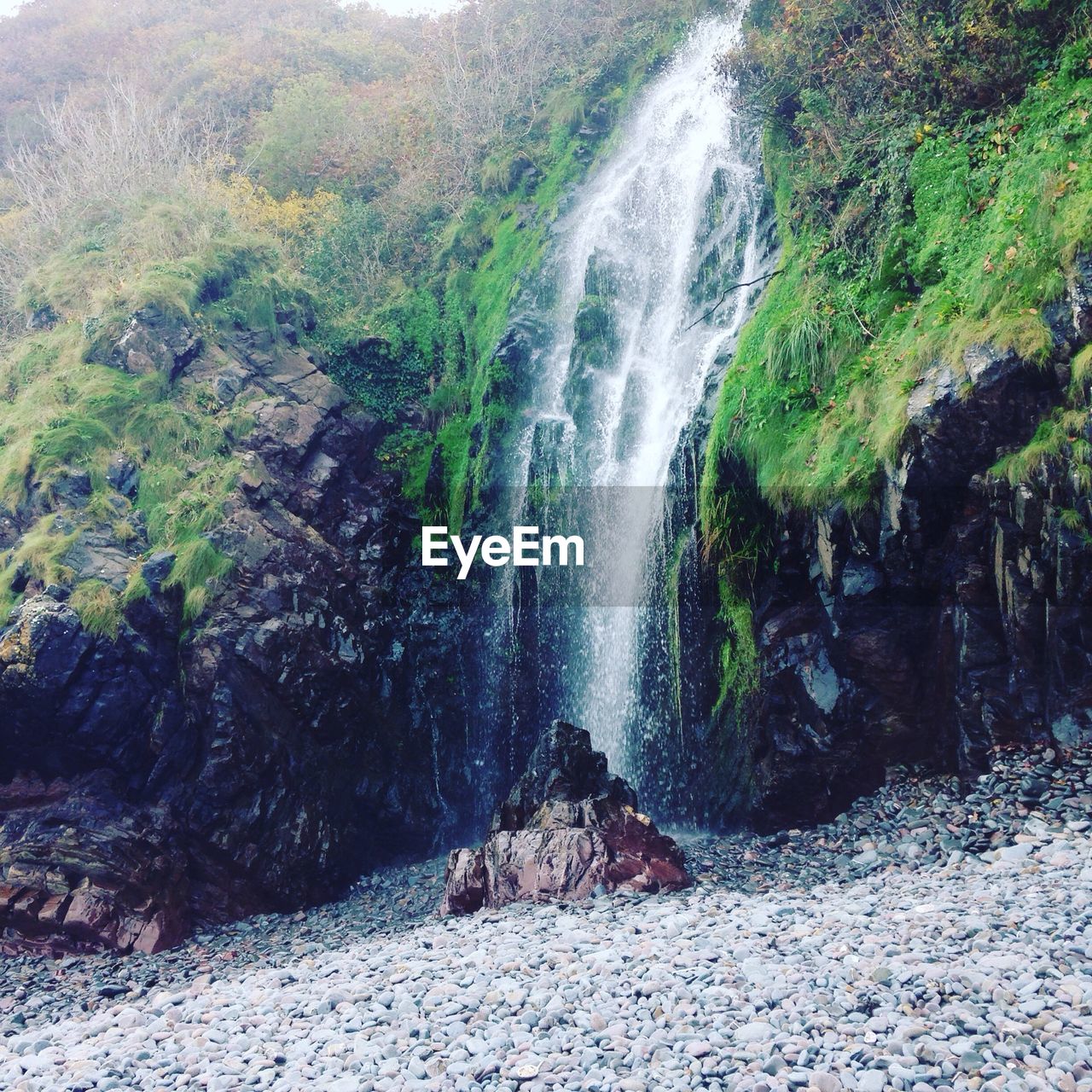 WATERFALL IN FOREST