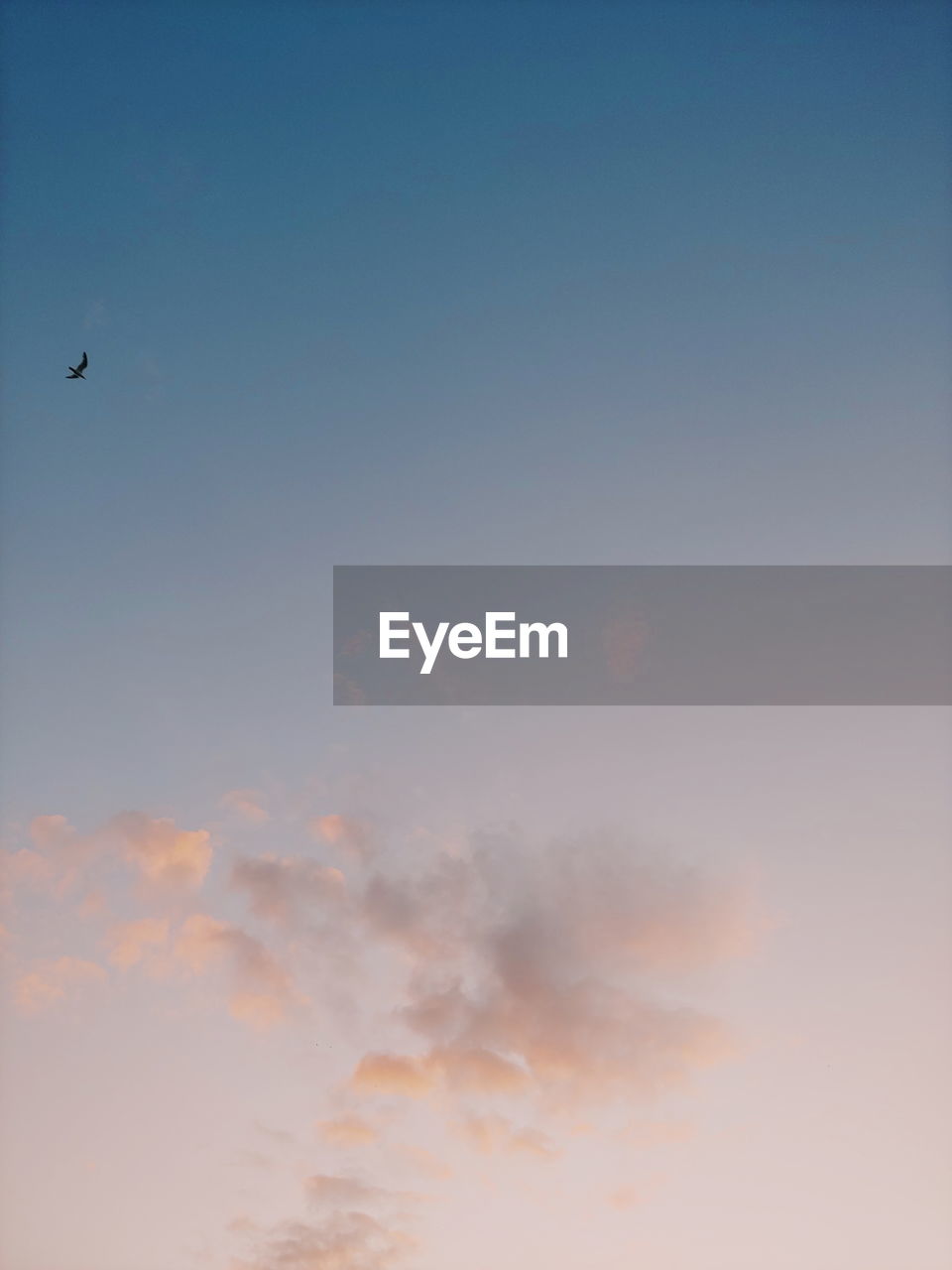 LOW ANGLE VIEW OF CLOUDS IN SKY DURING SUNSET