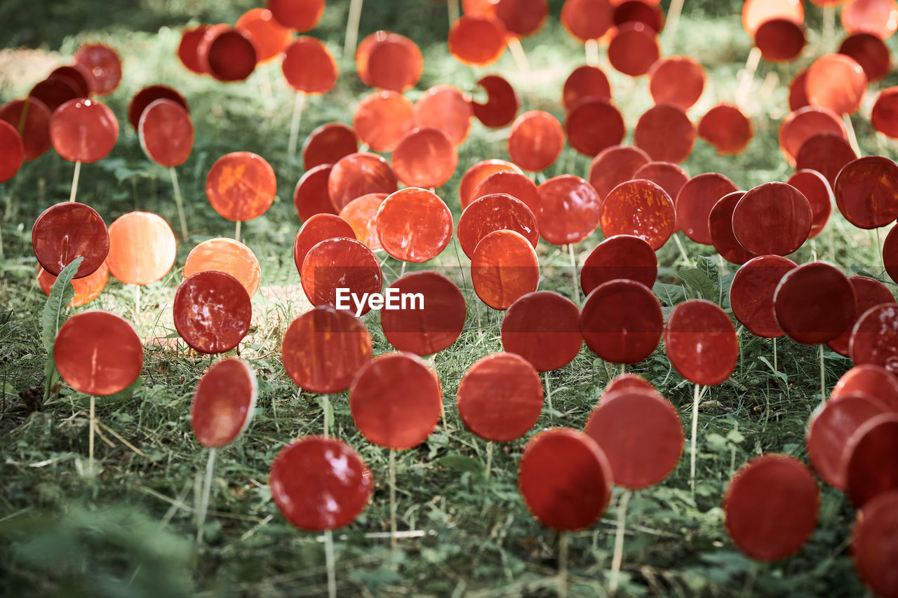 full frame shot of colorful confetti on field