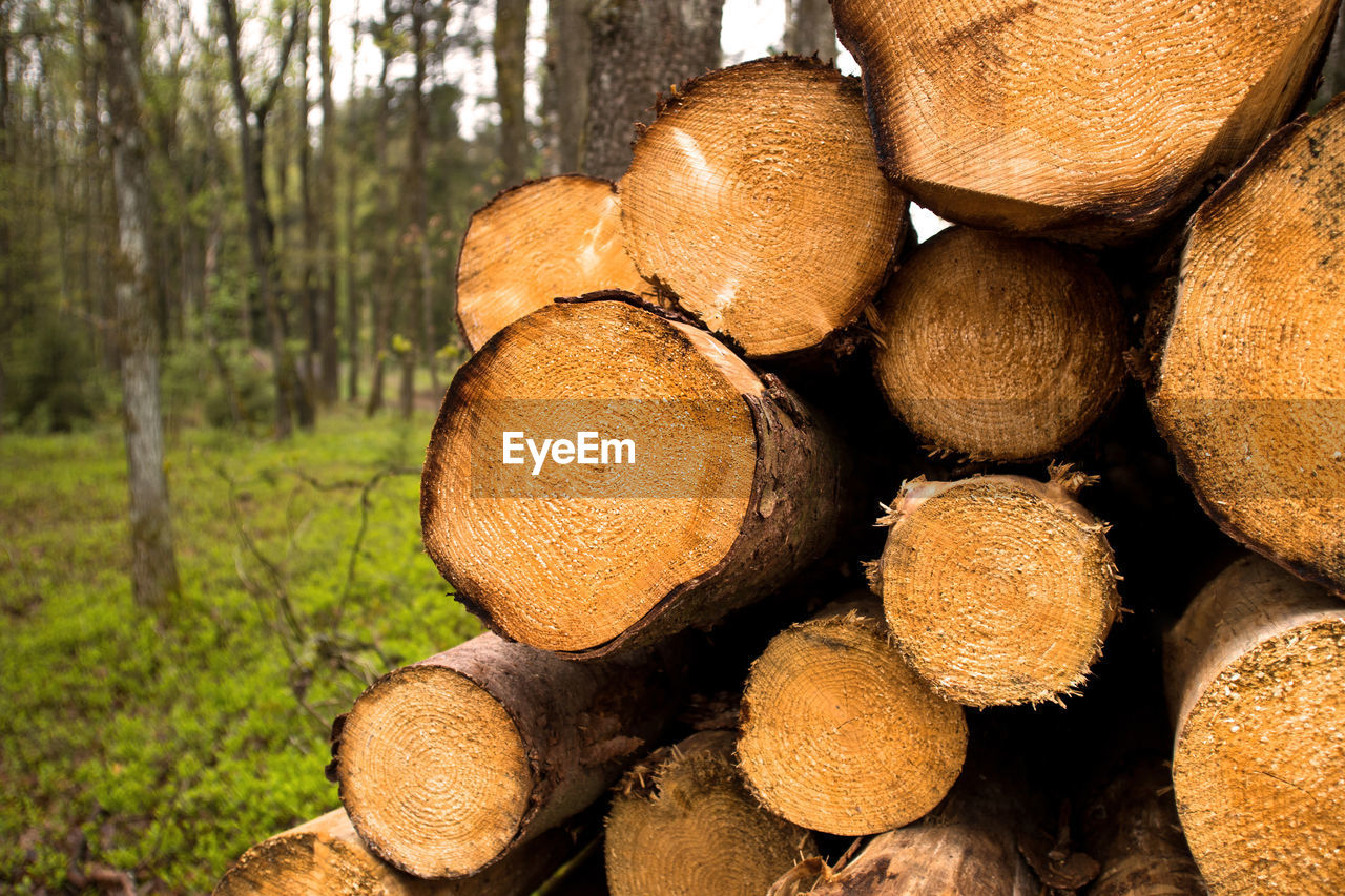 CLOSE-UP OF STACK OF FIREWOOD