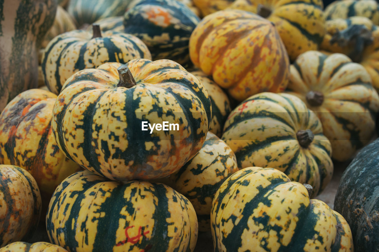 Colourful pumpkin for sale at a farmers market.