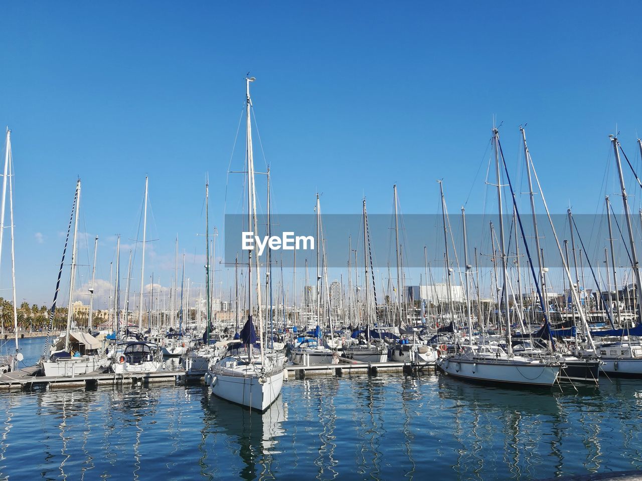 Sailboats moored in harbor