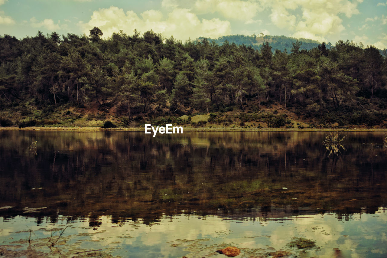 Reflection of trees in lake against sky