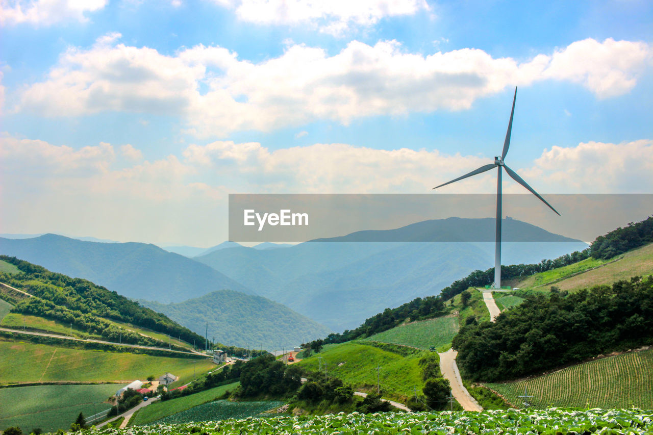 WIND TURBINES ON FIELD AGAINST SKY