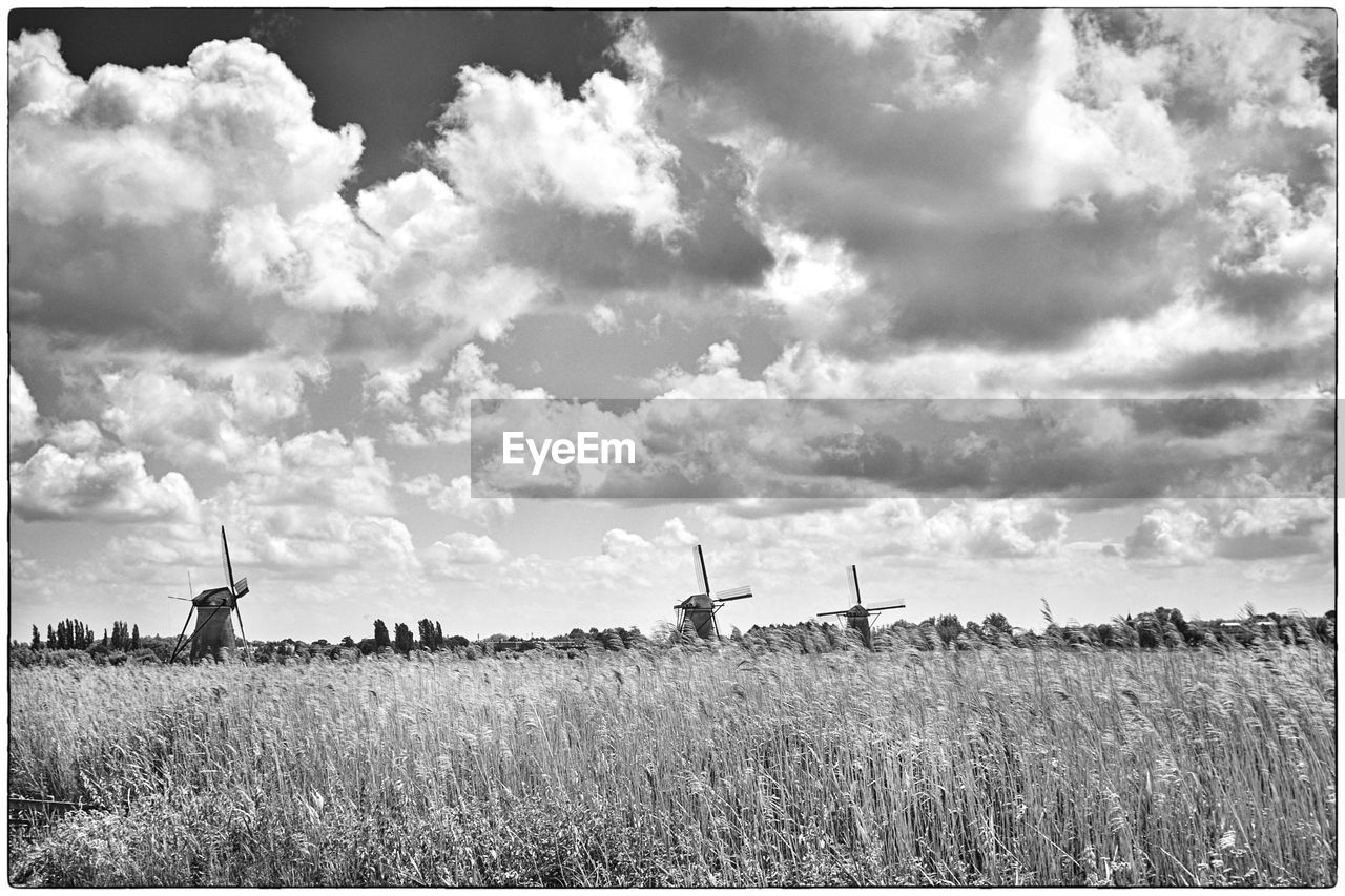 PANORAMIC VIEW OF FARM AGAINST SKY