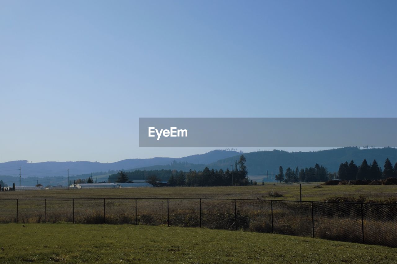 Scenic view of field against clear blue sky