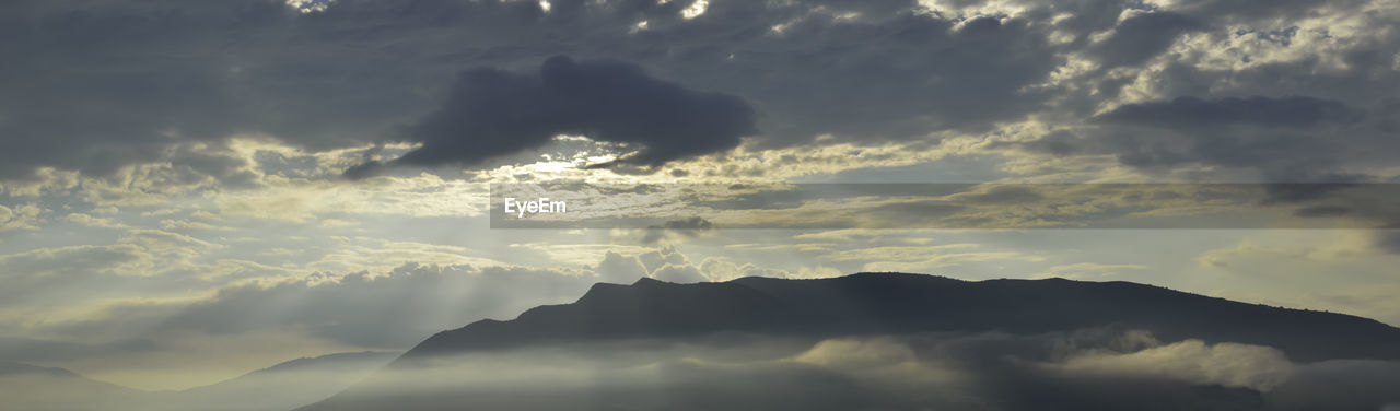 Landscape with summer morning mist