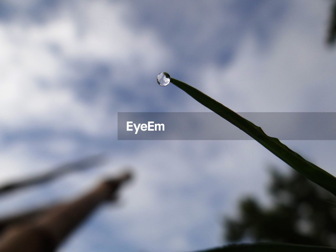 LOW ANGLE VIEW OF WATER DROP ON GRASS AGAINST SKY