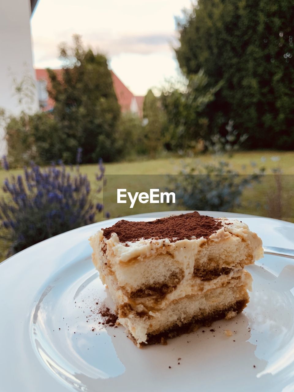 CLOSE-UP OF CAKE IN PLATE