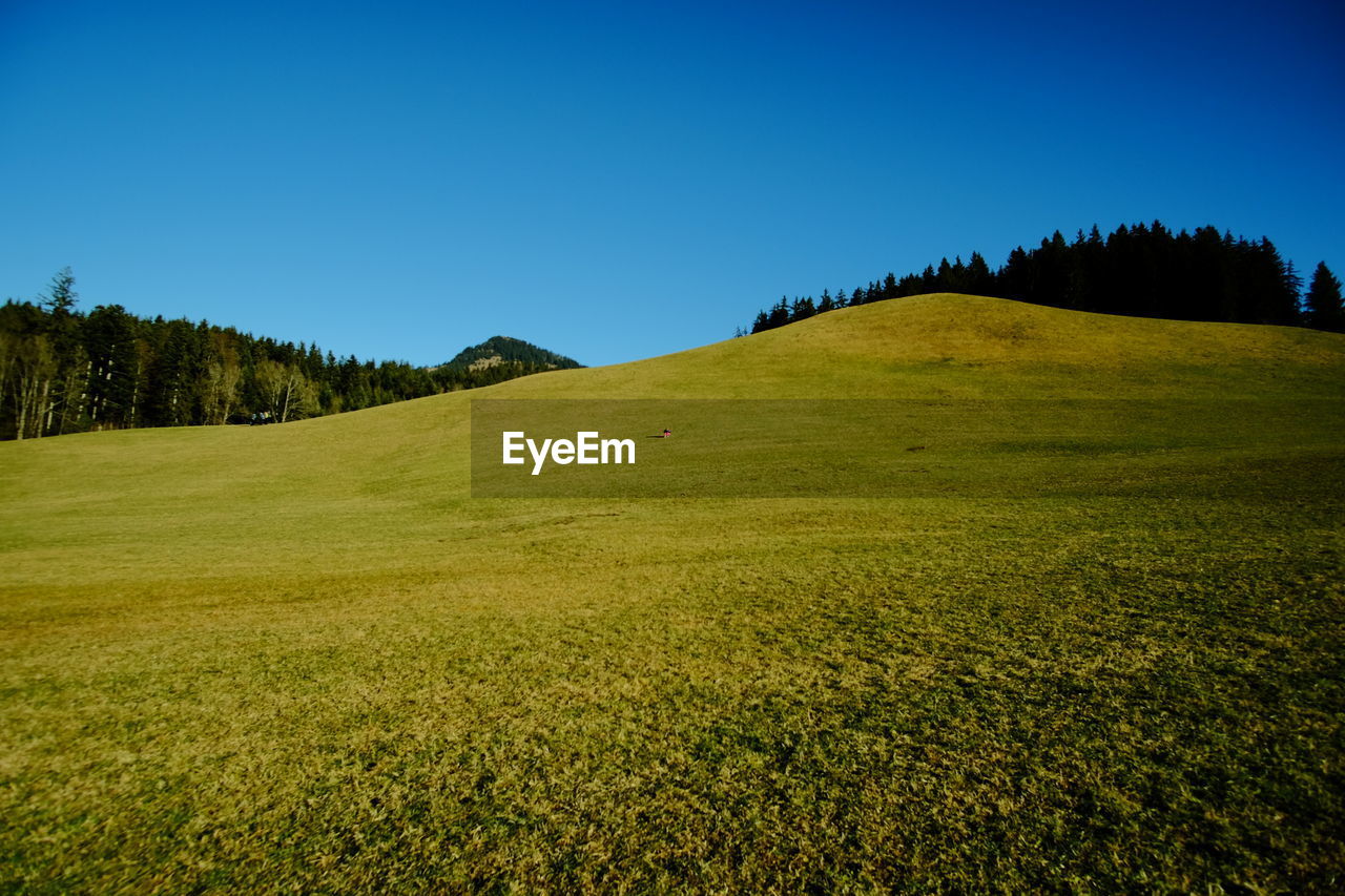 Scenic view of agricultural field against clear blue sky