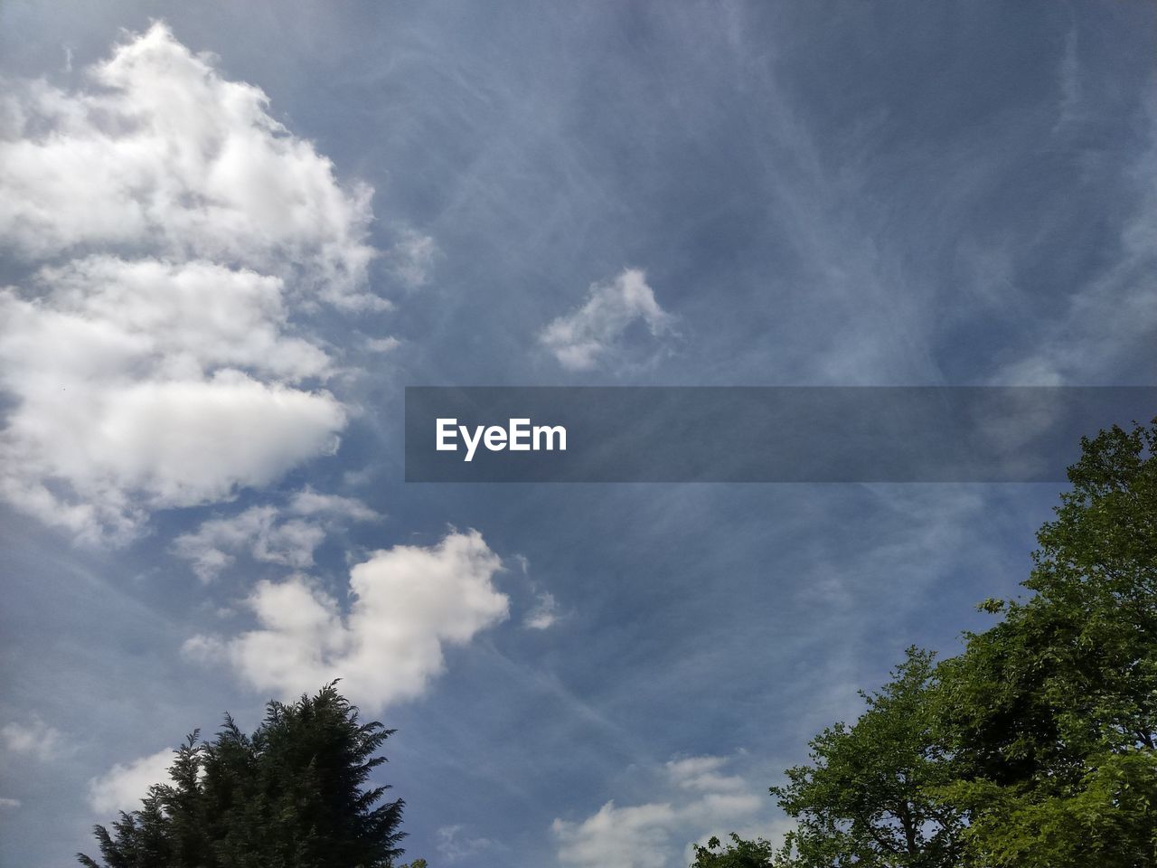 LOW ANGLE VIEW OF TREE AGAINST CLOUDY SKY