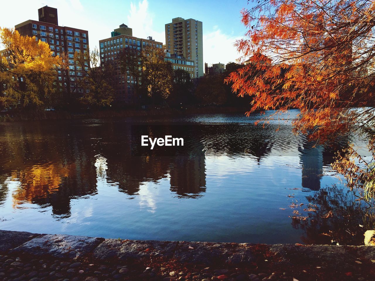 Reflection of trees in lake during autumn