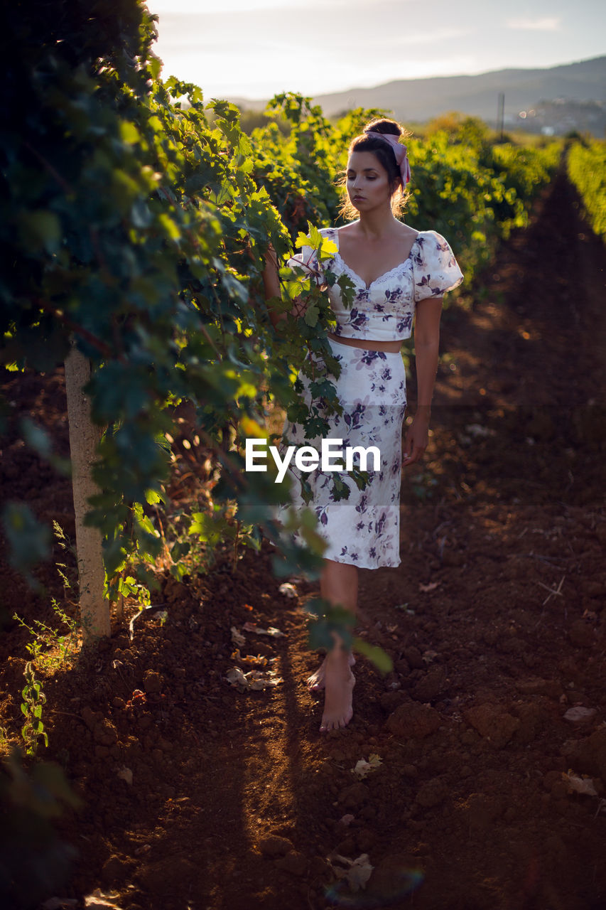 Brunette woman in a white dress stands in a vineyard in summer in italy