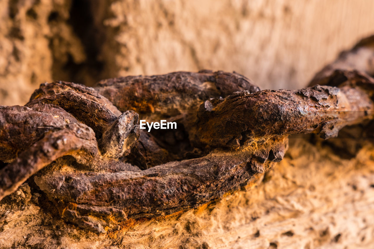 Close-up of rusty historic chain link fused with wooden underground