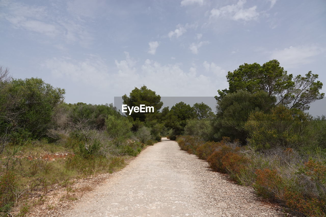 plant, tree, sky, landscape, nature, environment, rural area, the way forward, hill, road, cloud, dirt road, land, no people, natural environment, footpath, grass, scenics - nature, beauty in nature, soil, outdoors, trail, tranquility, dirt, non-urban scene, transportation, travel, diminishing perspective, day, vanishing point, growth, travel destinations, tranquil scene