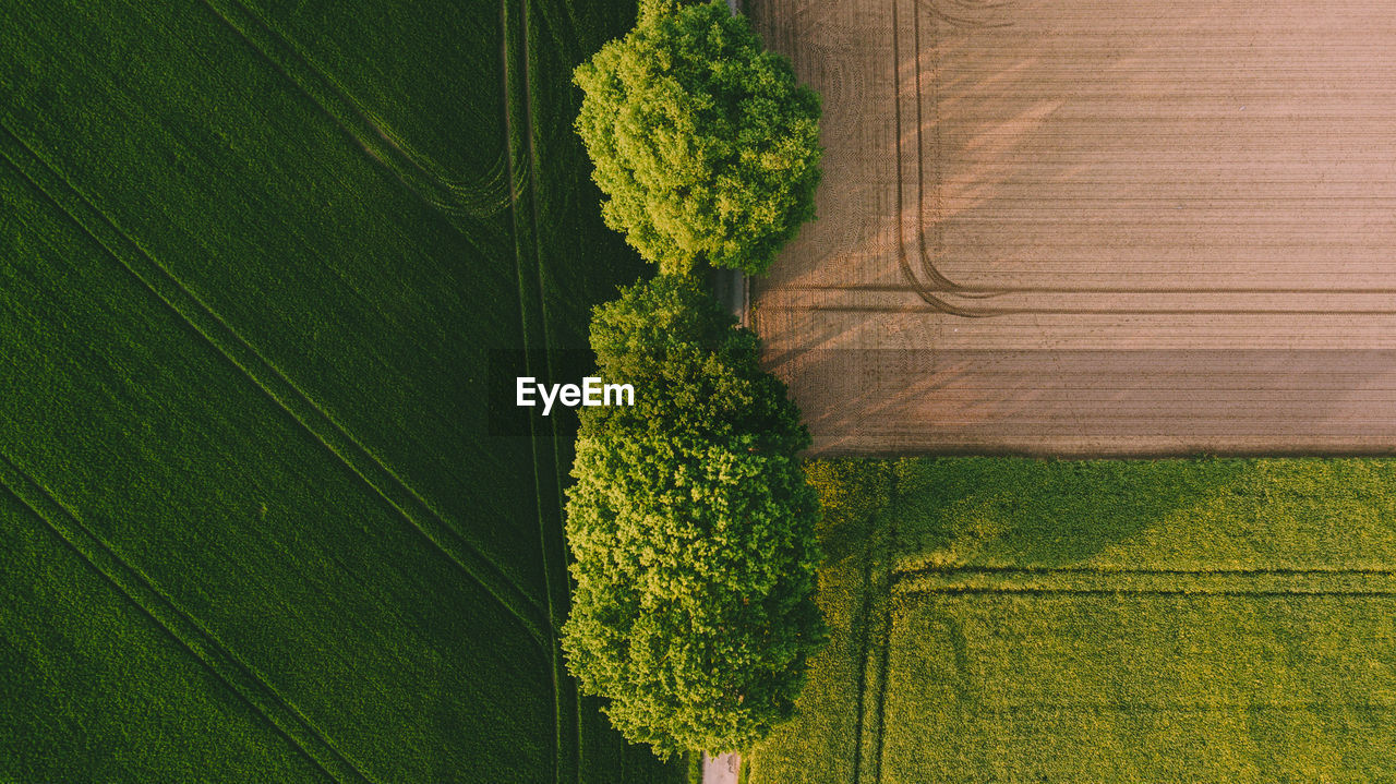 Aerial view of agricultural field