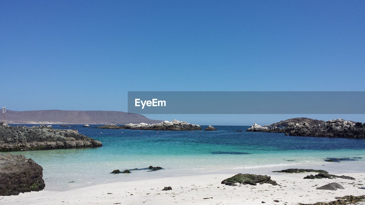 SCENIC VIEW OF BEACH AGAINST CLEAR SKY