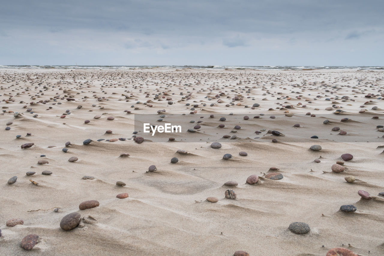 Slowinski national park. baltic sea. poland