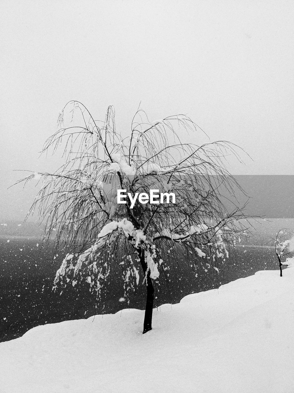 snow, winter, cold temperature, black and white, tree, nature, monochrome, plant, monochrome photography, environment, white, bare tree, fog, branch, freezing, land, landscape, beauty in nature, one person, sky, blizzard, day, outdoors, winter storm, frozen, scenics - nature, tranquility, drawing, extreme weather, snowing, non-urban scene, mountain, deep snow, full length, adult