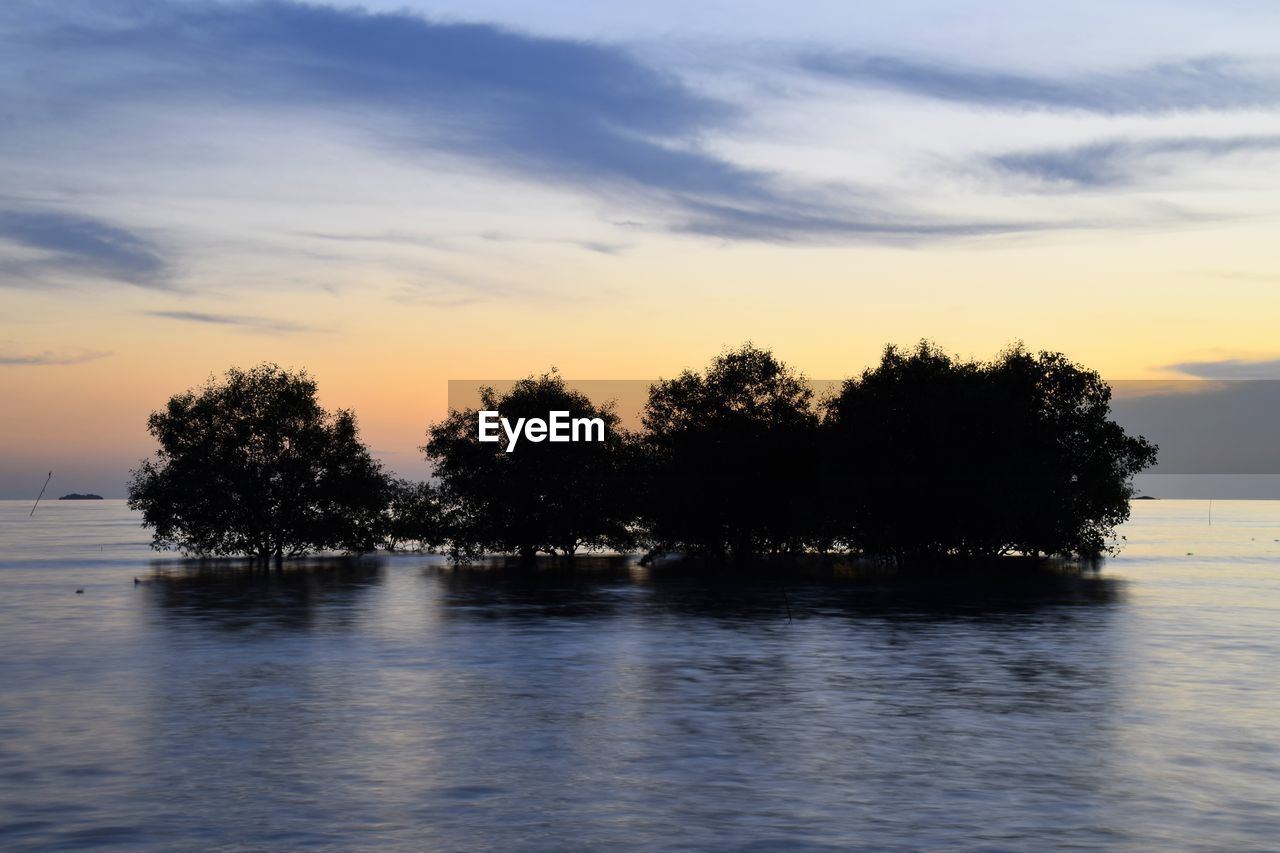 SILHOUETTE TREES BY SEA AGAINST ORANGE SKY