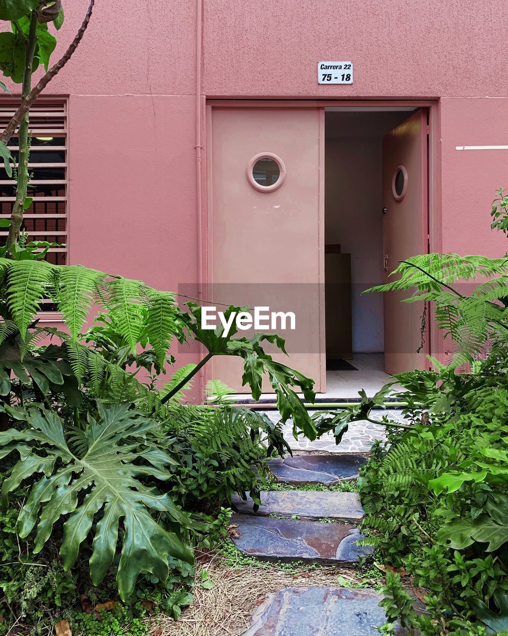 POTTED PLANTS OUTSIDE HOUSE