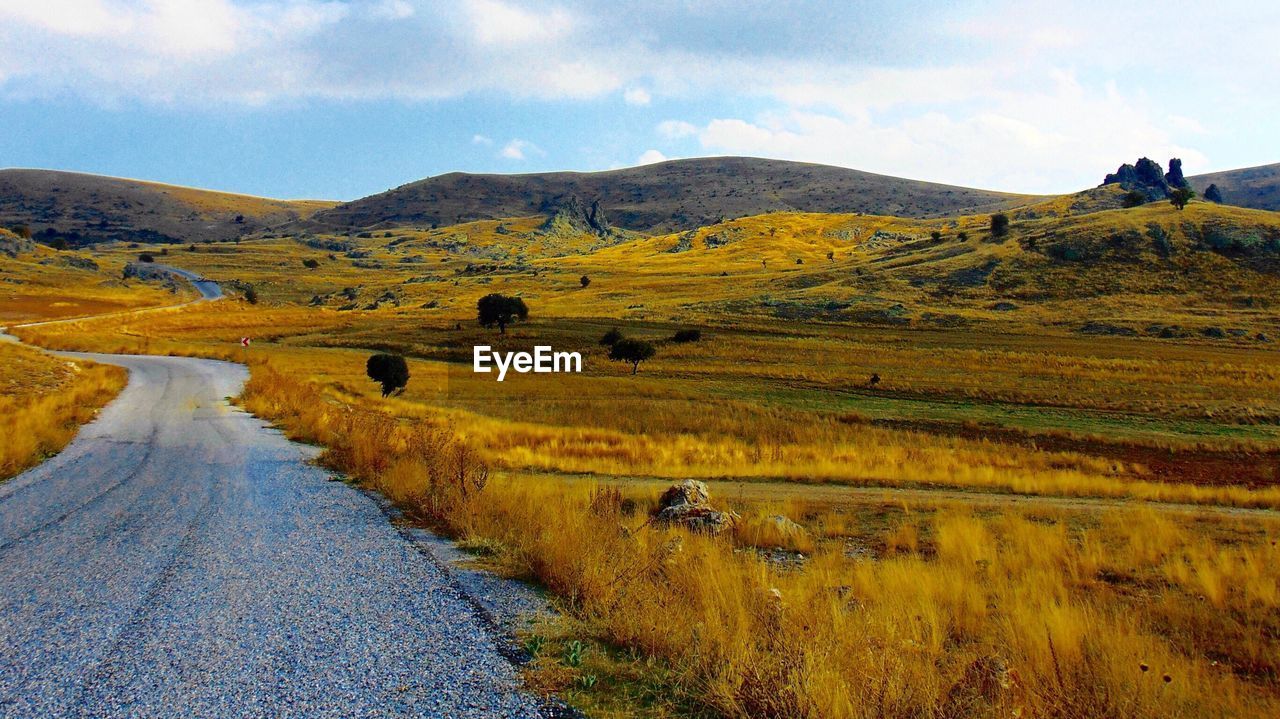 Road on grass field