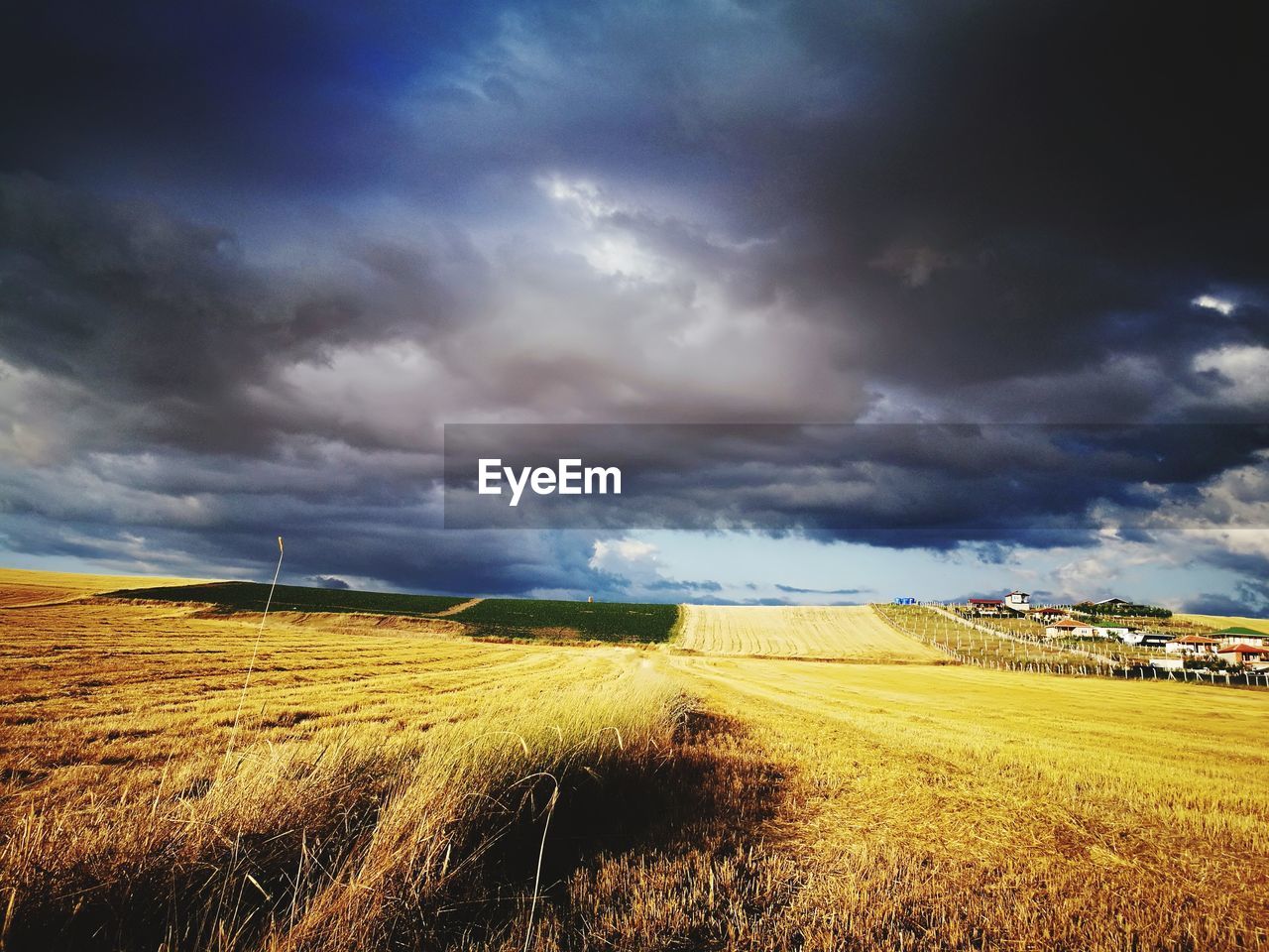 Scenic view of agricultural field against sky