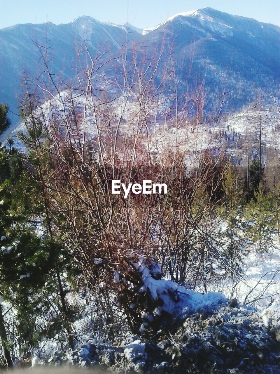 SCENIC VIEW OF SNOW COVERED MOUNTAINS