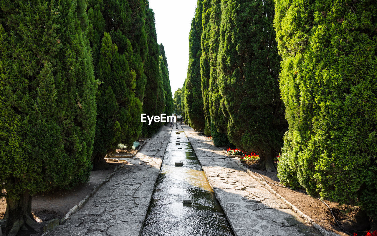 Walkway amidst trees against sky