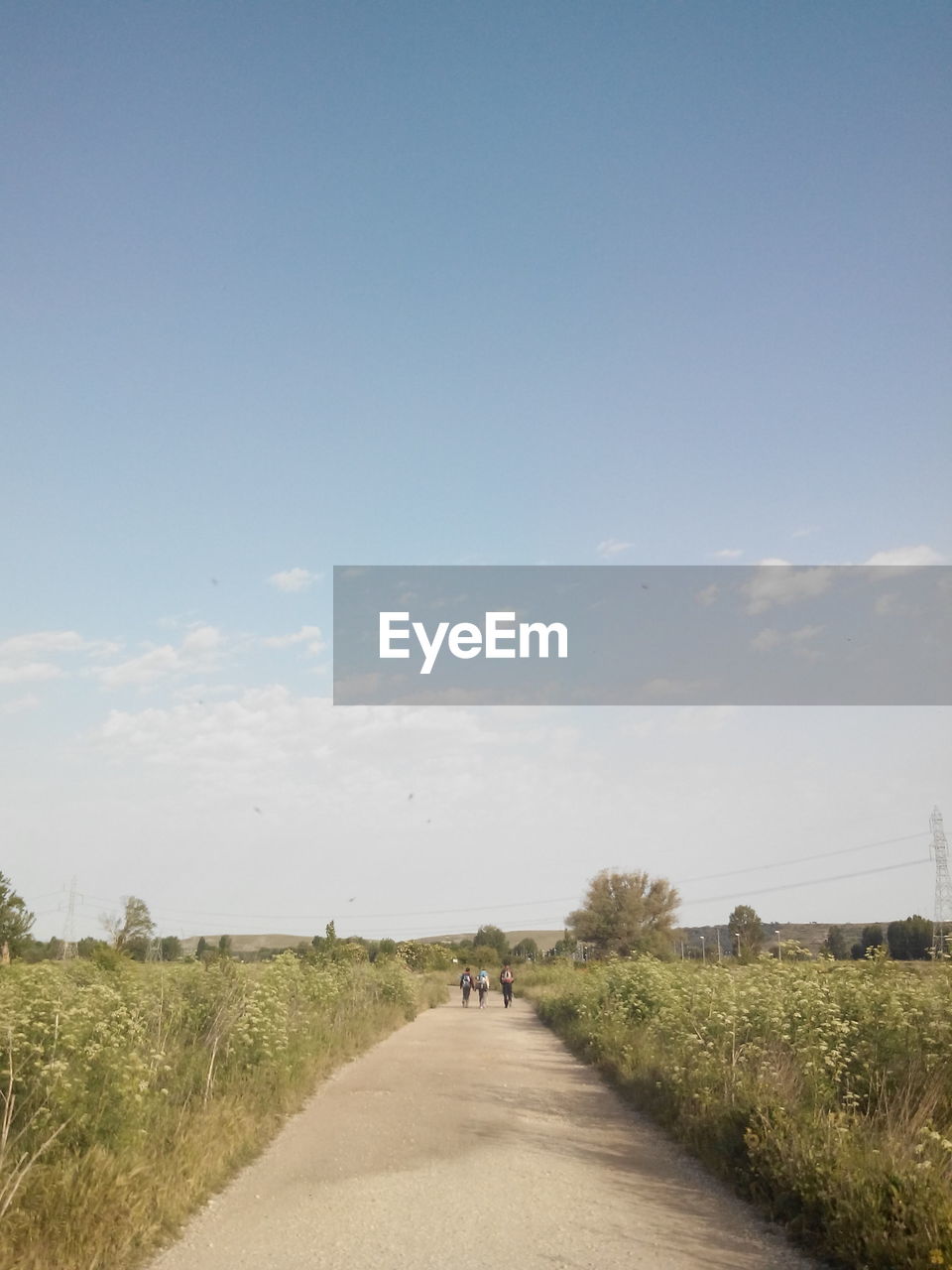 ROAD PASSING THROUGH LANDSCAPE