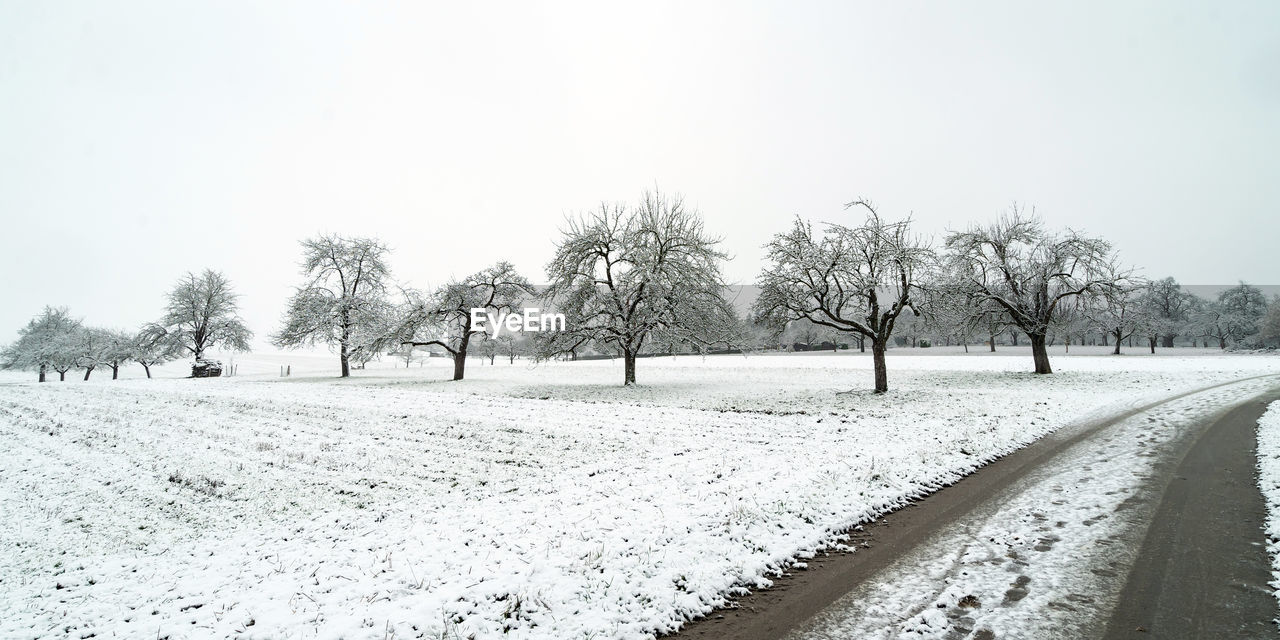 SNOW COVERED FIELD AGAINST CLEAR SKY