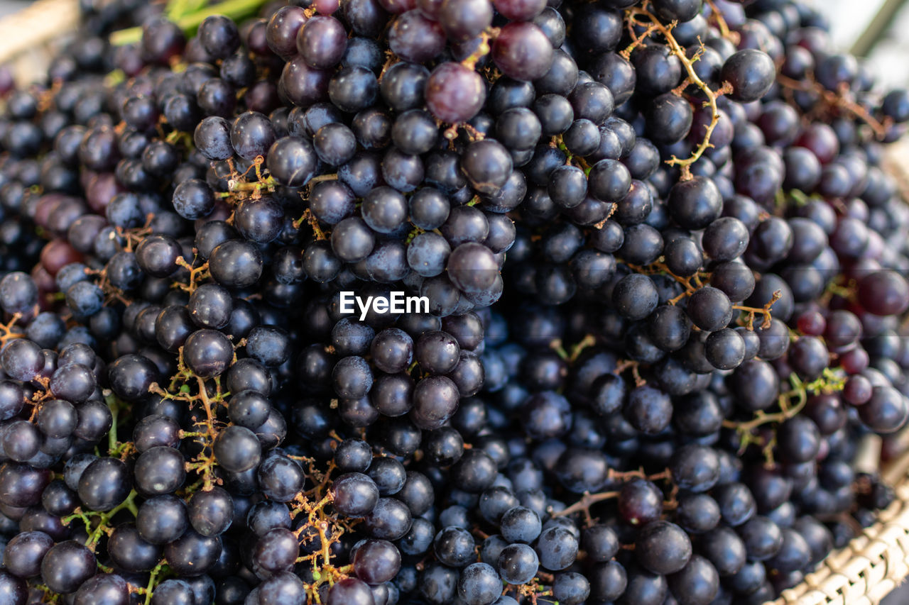 FULL FRAME SHOT OF FRESH FRUIT