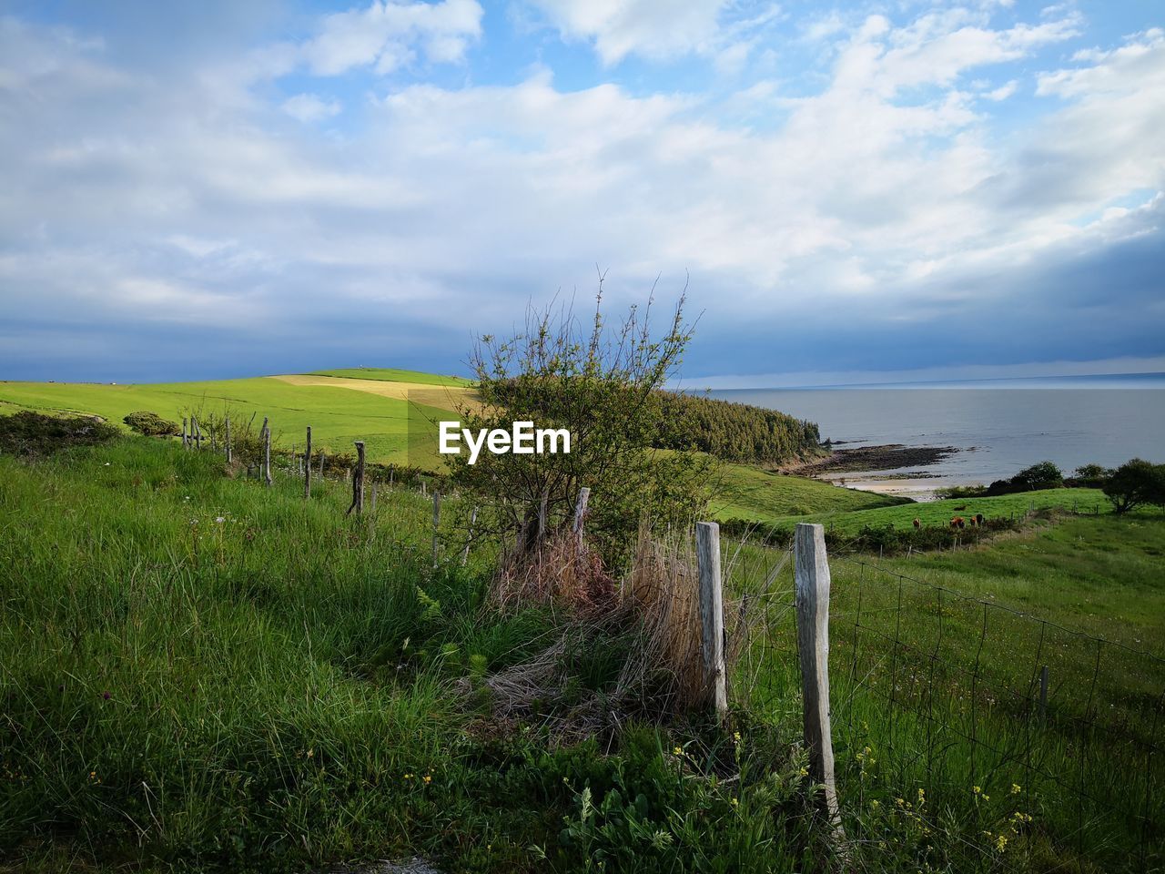 Wooden posts on field against sky