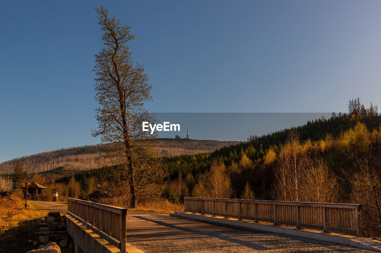 Scenic view of landscape against clear blue sky