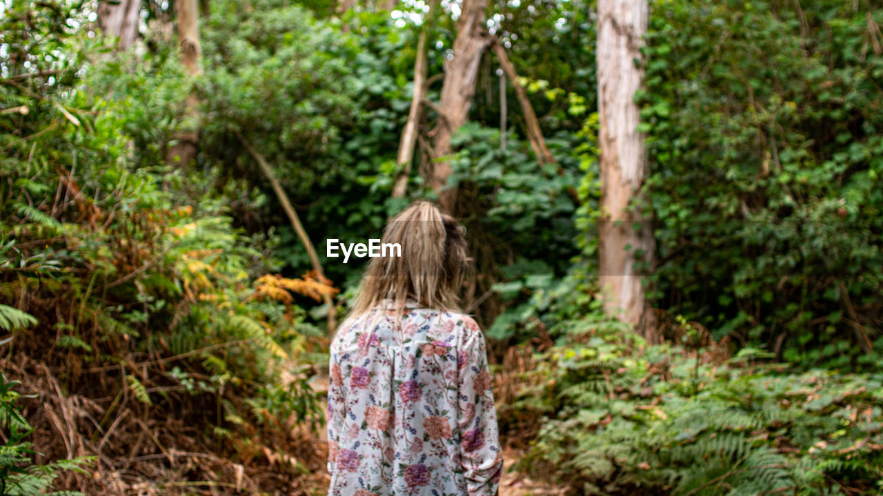 REAR VIEW OF A BOY IN FOREST