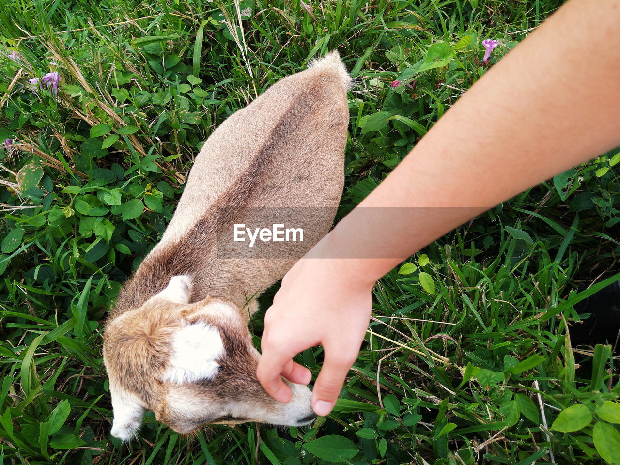 CLOSE-UP OF A HAND FEEDING A YOUNG WOMAN