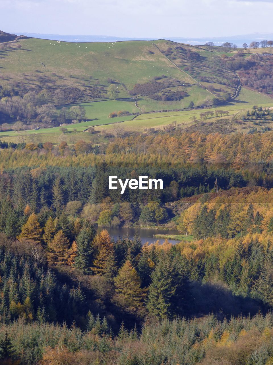 High angle view of trees on field during autumn