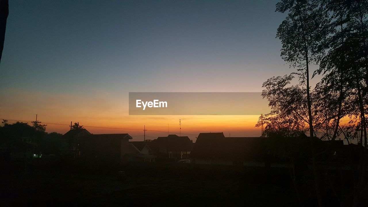 SILHOUETTE OF TREES AT SUNSET