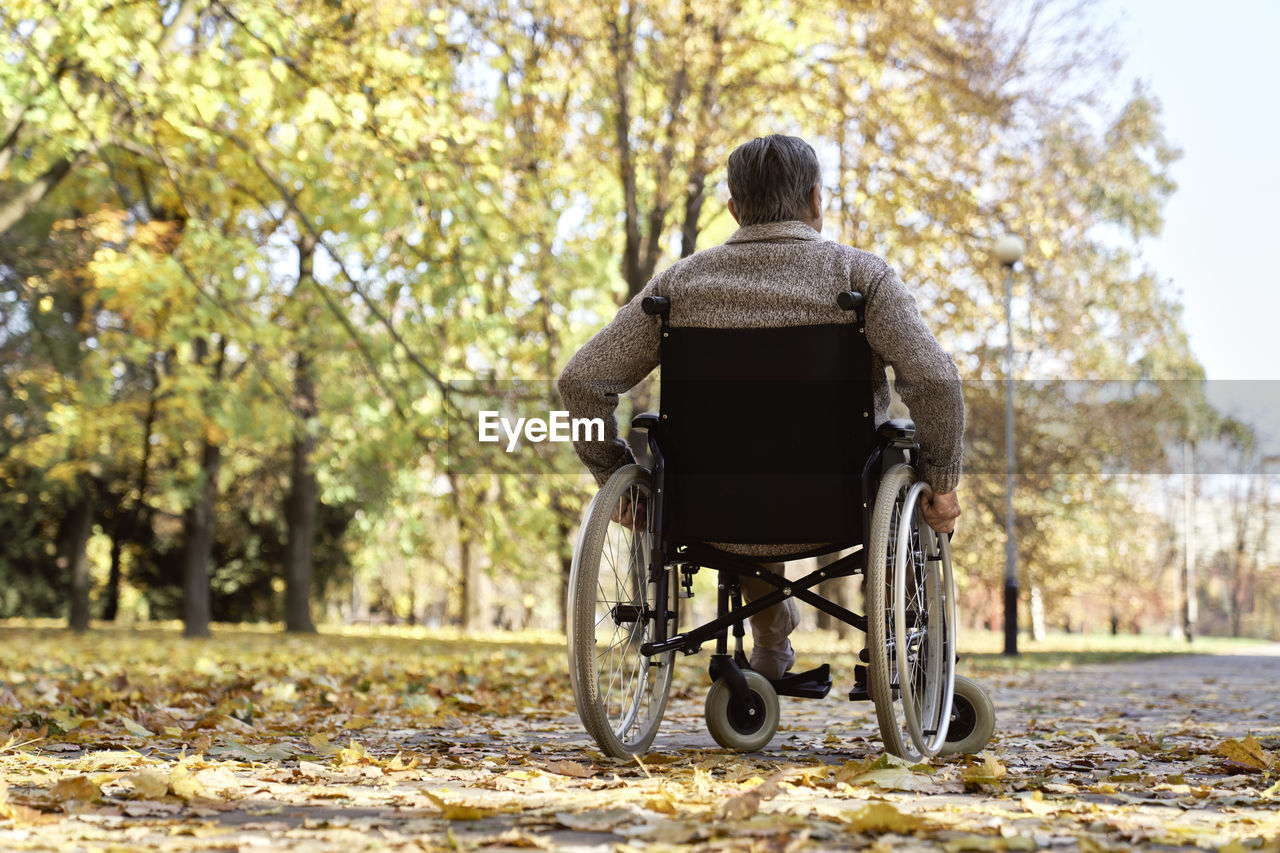 Disabled senior man sitting in wheelchair at autumn park