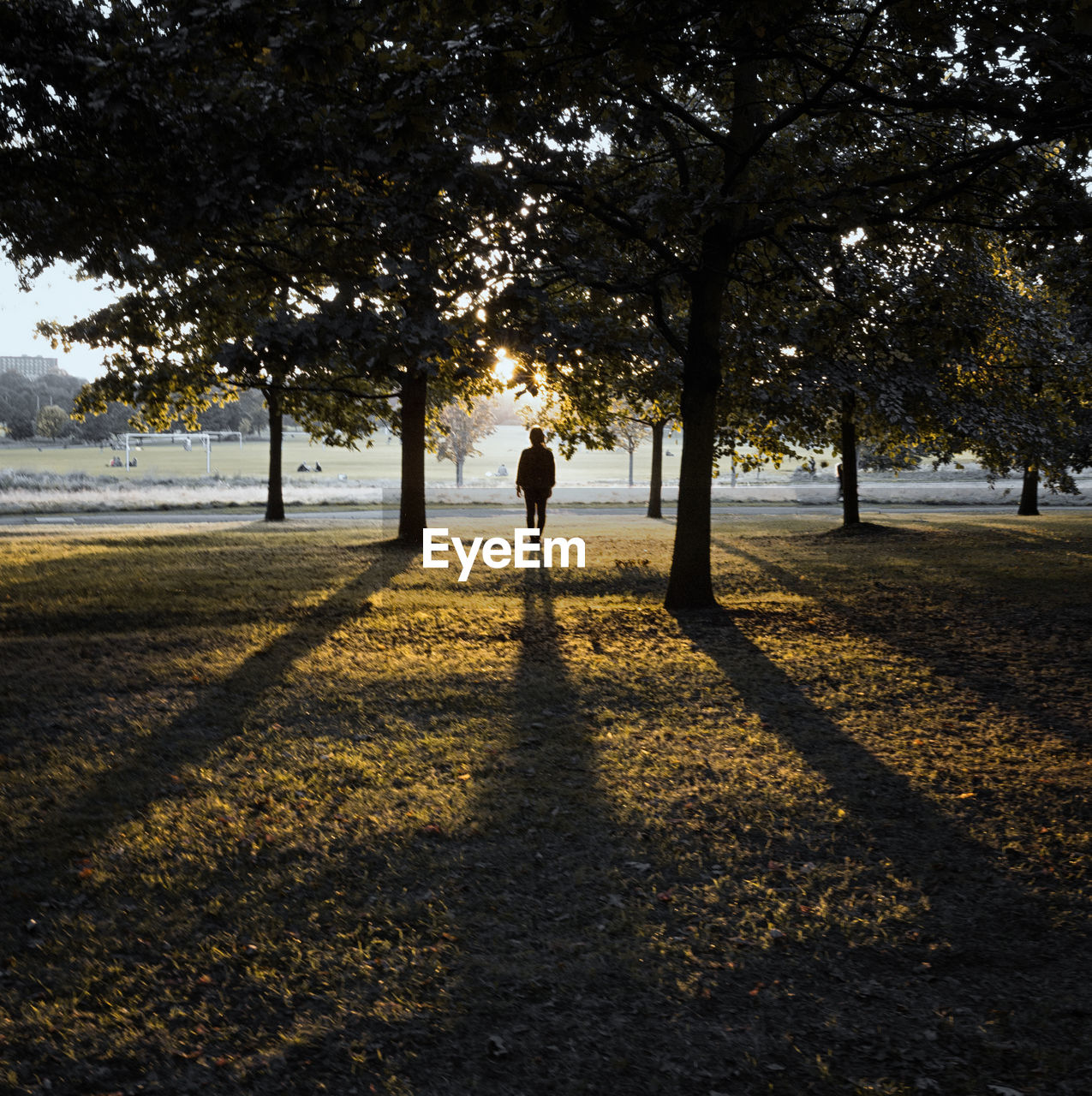 Silhouette person standing at park during sunset