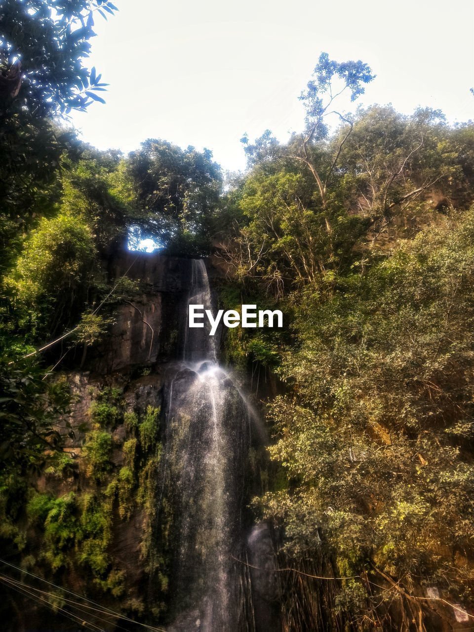 VIEW OF WATERFALL IN FOREST