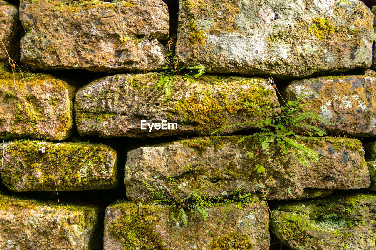 FULL FRAME SHOT OF STONE WALL WITH MOSS