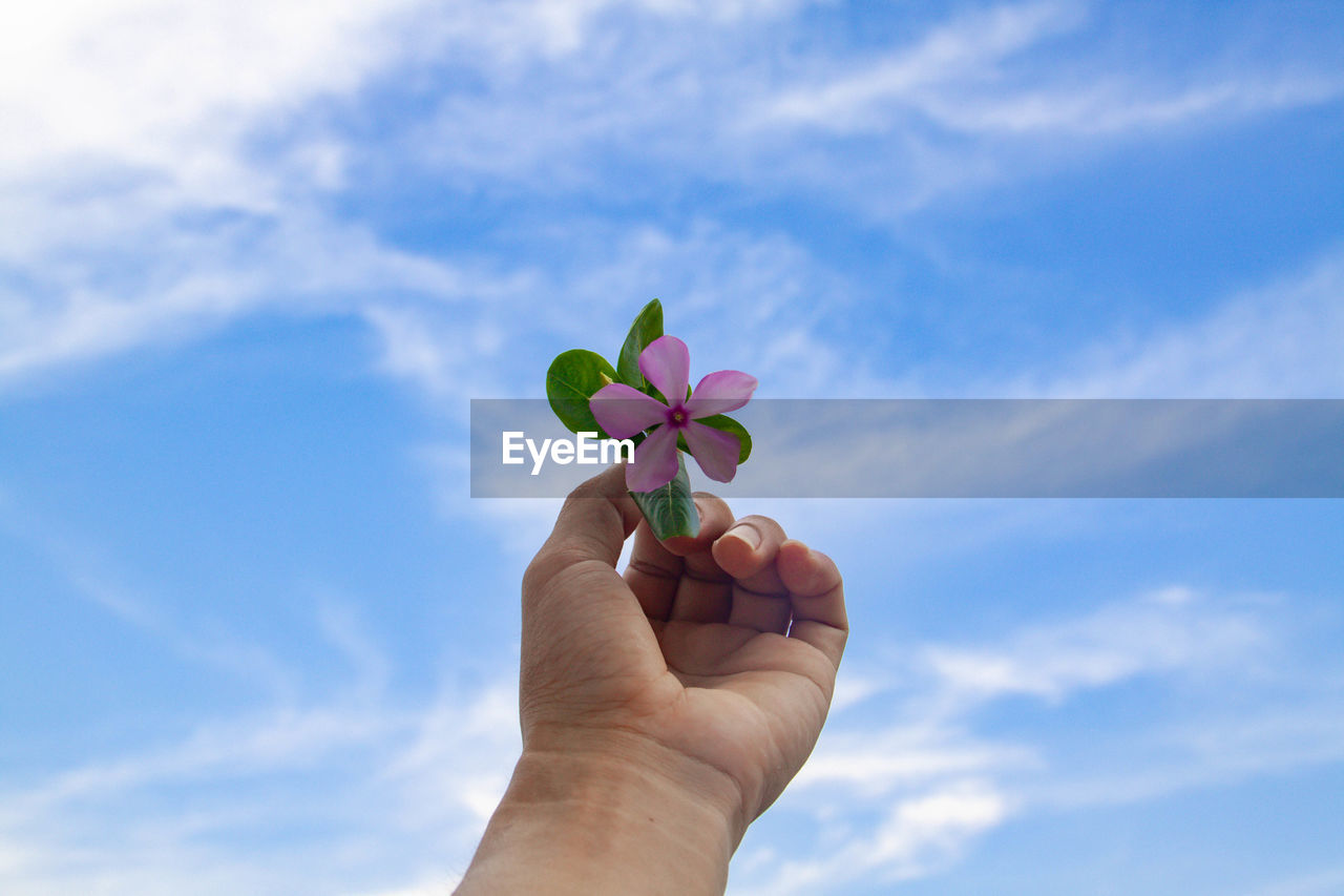 LOW ANGLE VIEW OF HAND HOLDING PLANT AGAINST BLUE SKY AND CLOUDS