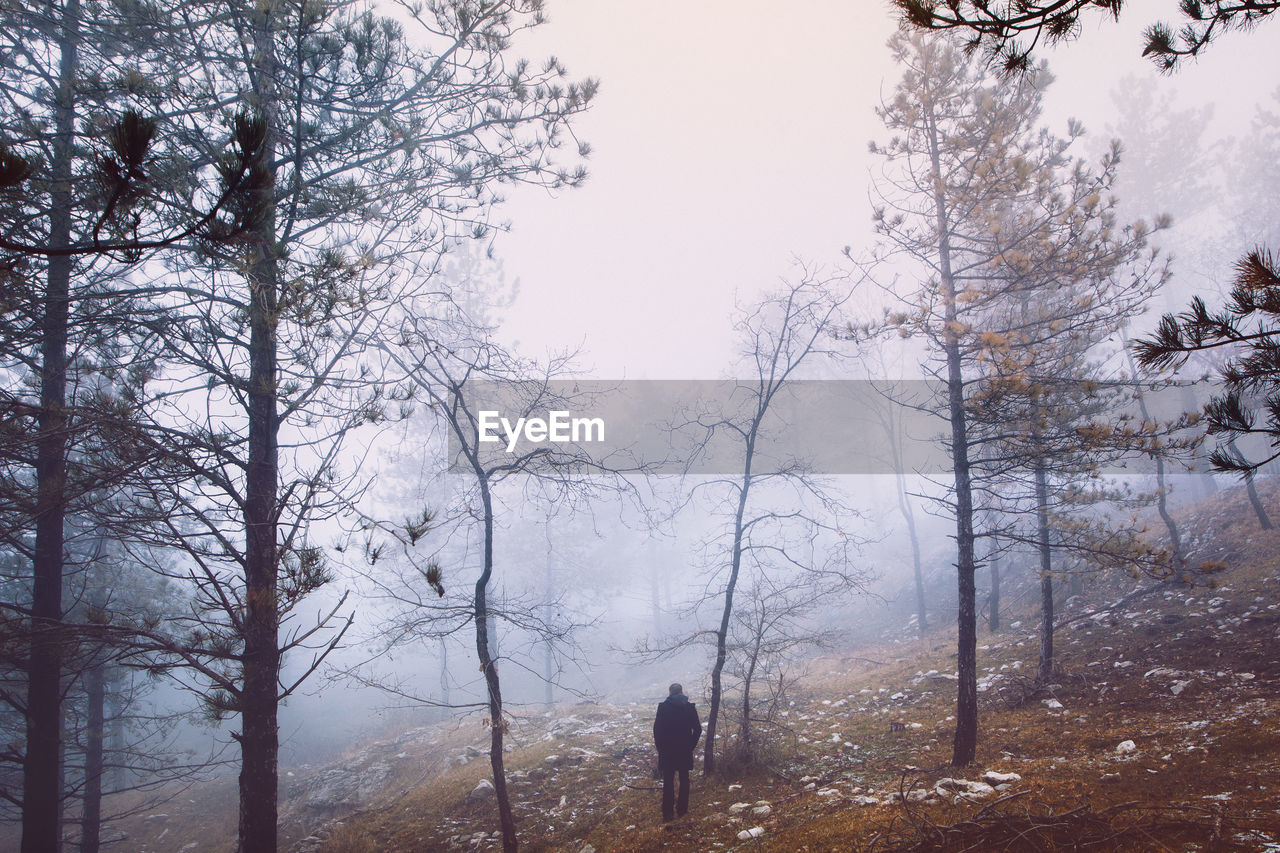 Rear view of man standing in forest during foggy weather