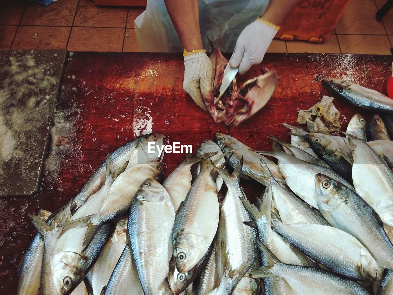 Worker removing the guts of a fish, ikan terubuk also known as toli shad at fish market.