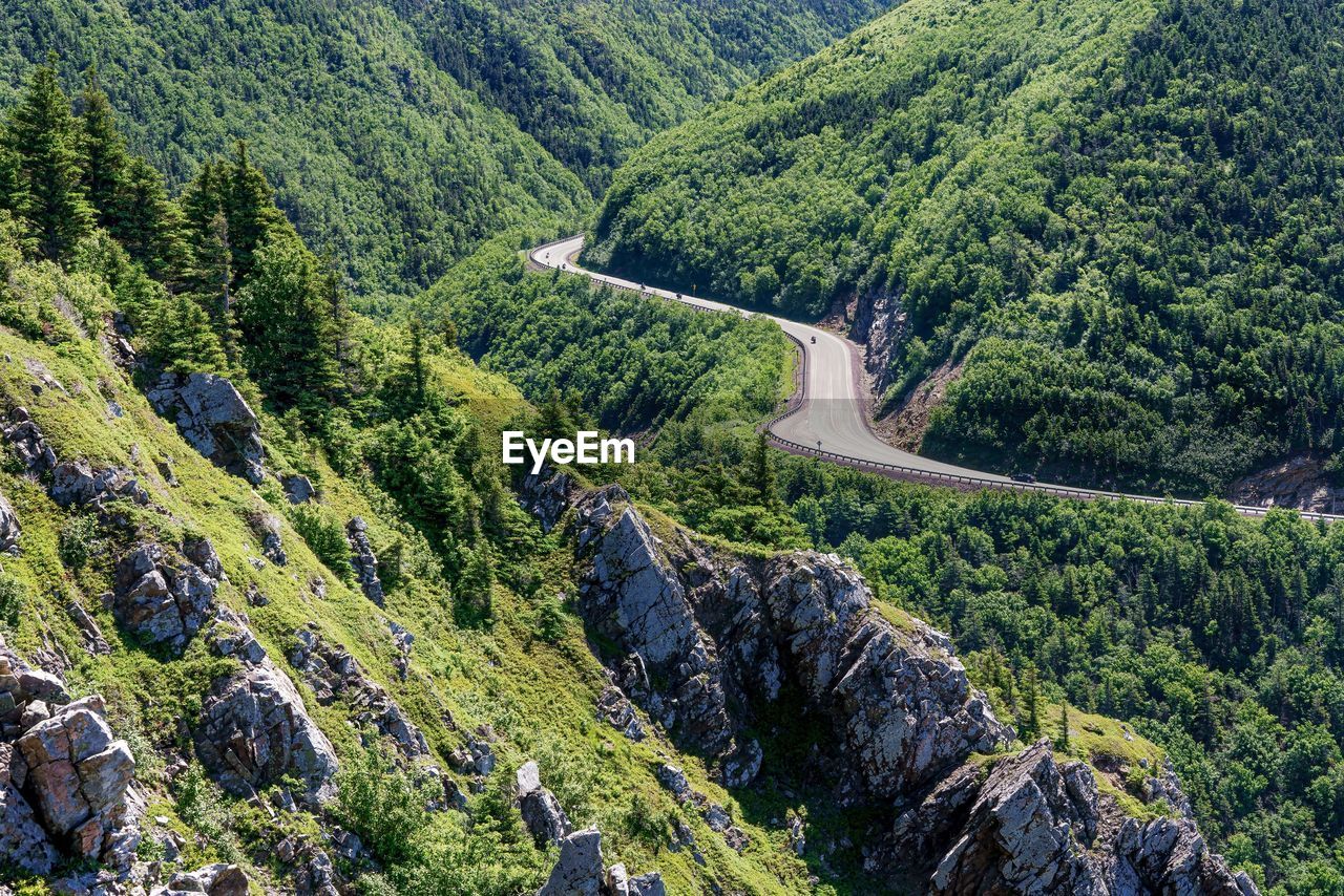 A scenic drive along cabot trail through the forests of cape breton island in nova scotia, canada.