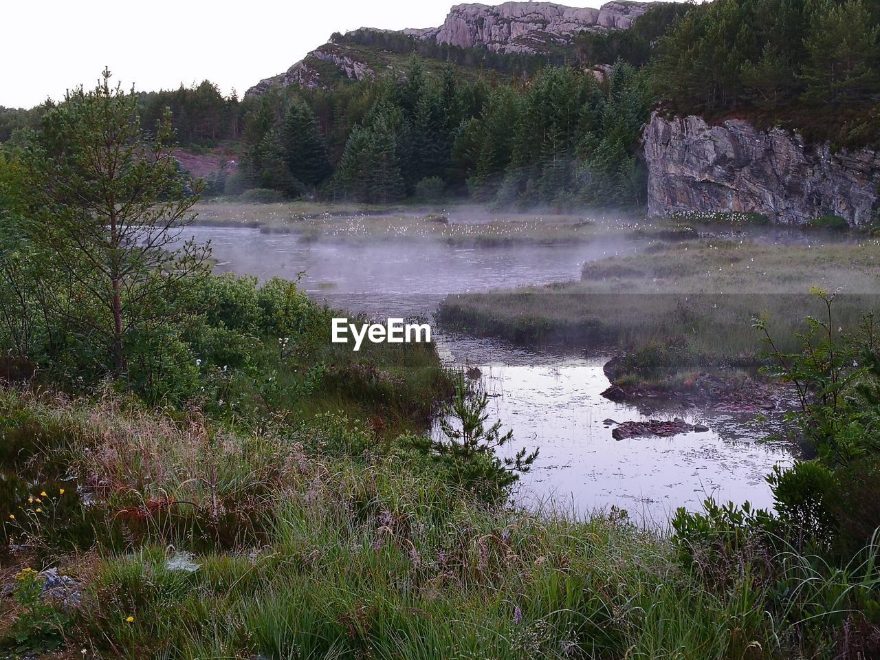 SCENIC VIEW OF WATERFALL AGAINST TREES